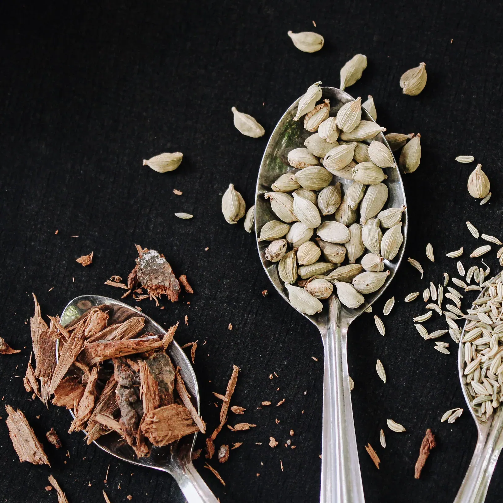 Spoons of cardamom, cinnamon and fennel seeds