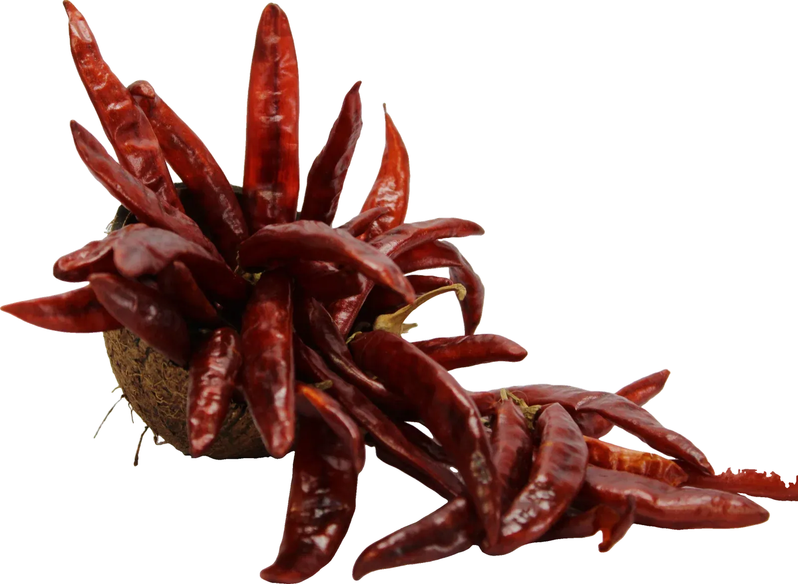 Bunch of whole dried red chillies