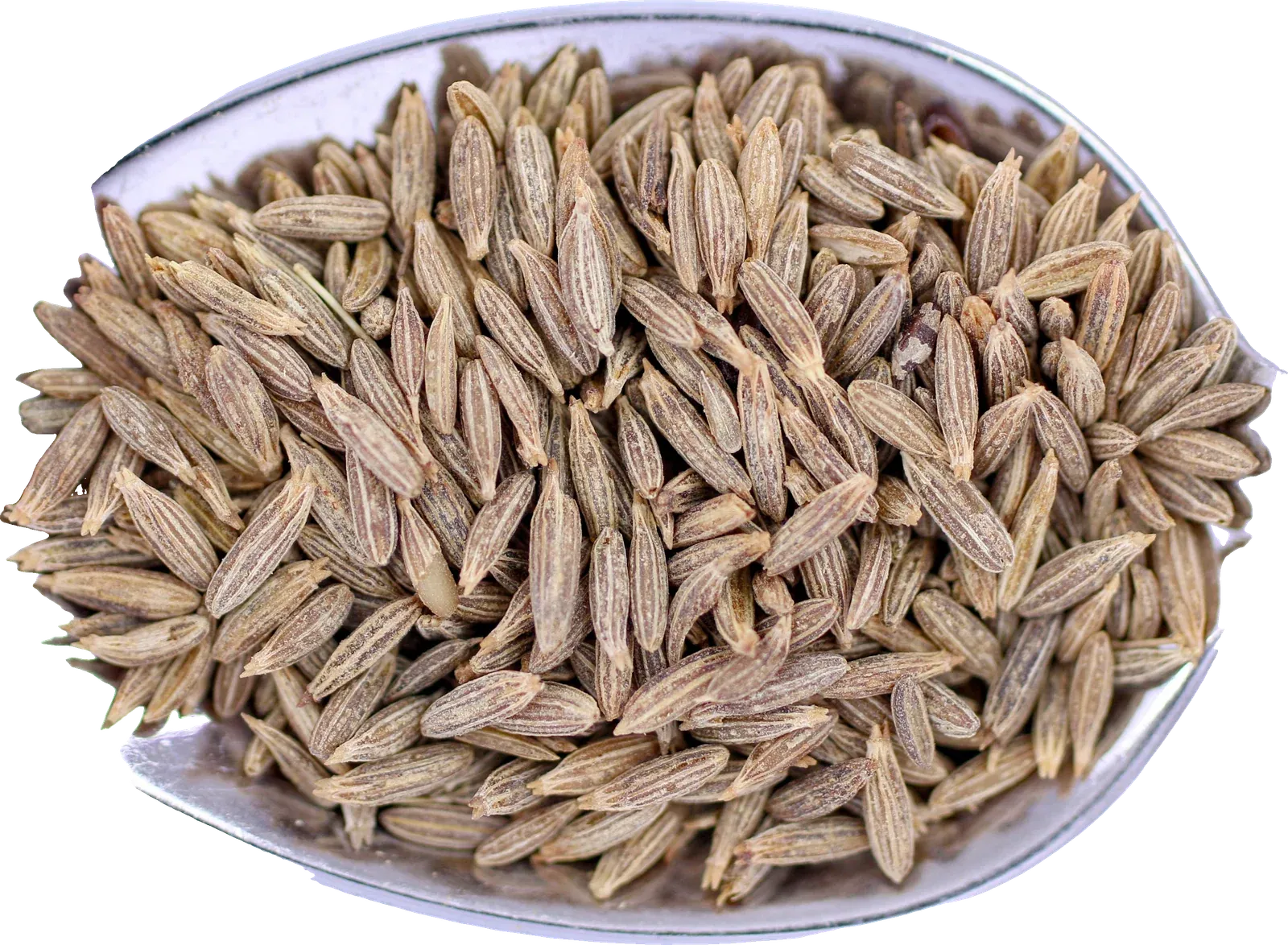 Cumin seeds heaped in a metal dish