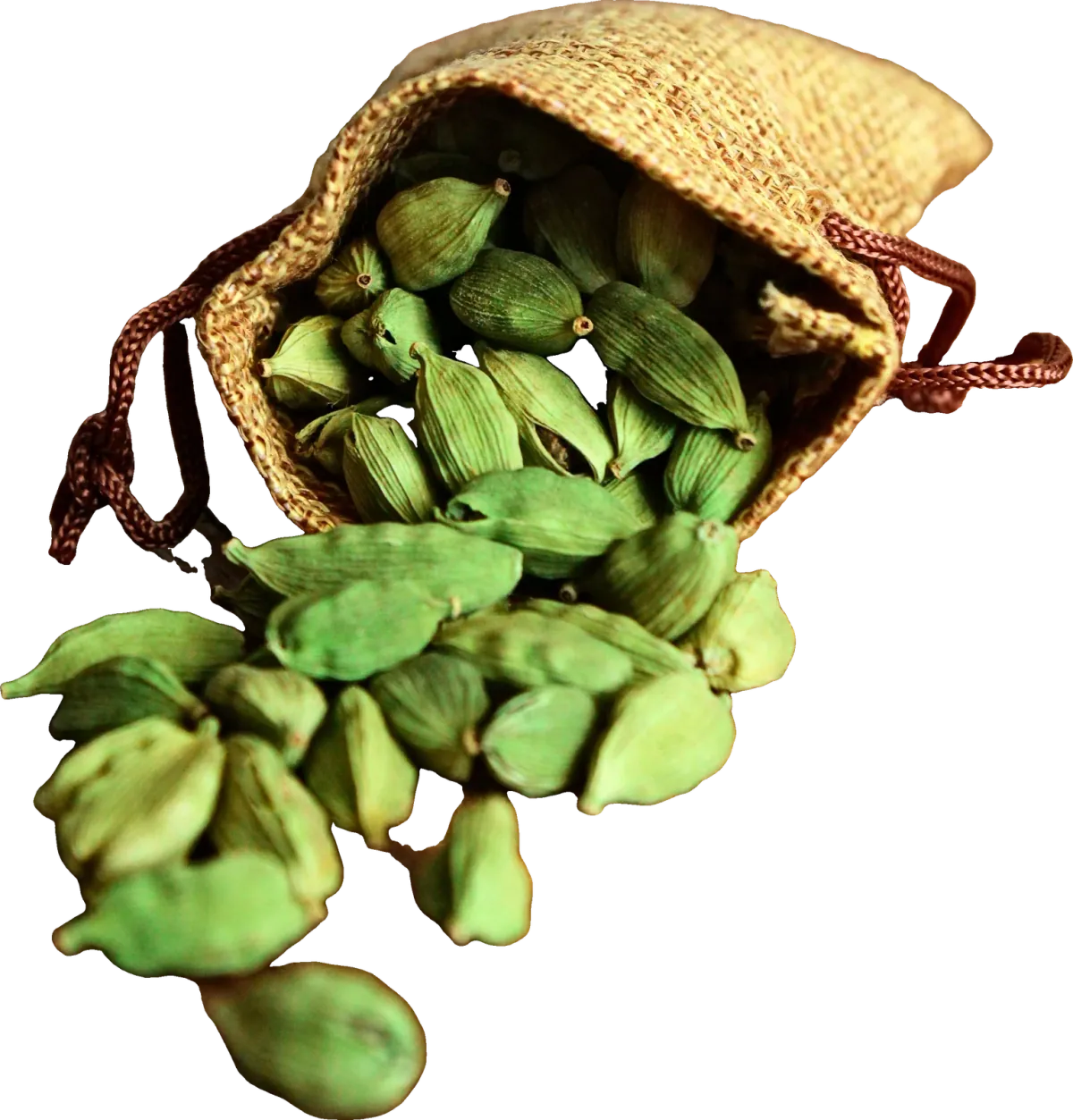 Green cardamom pods spilling from a jute pouch