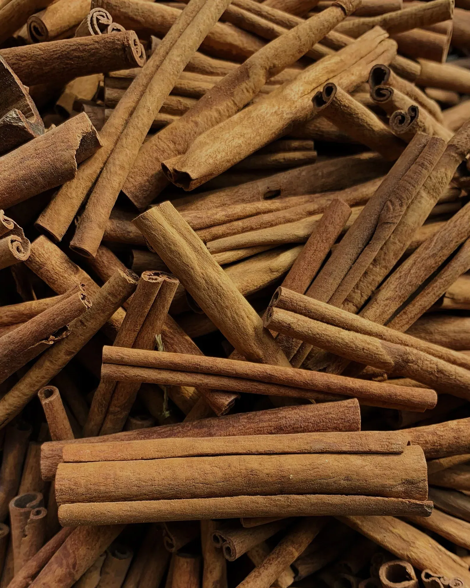 A pile of cinnamon sticks, close up