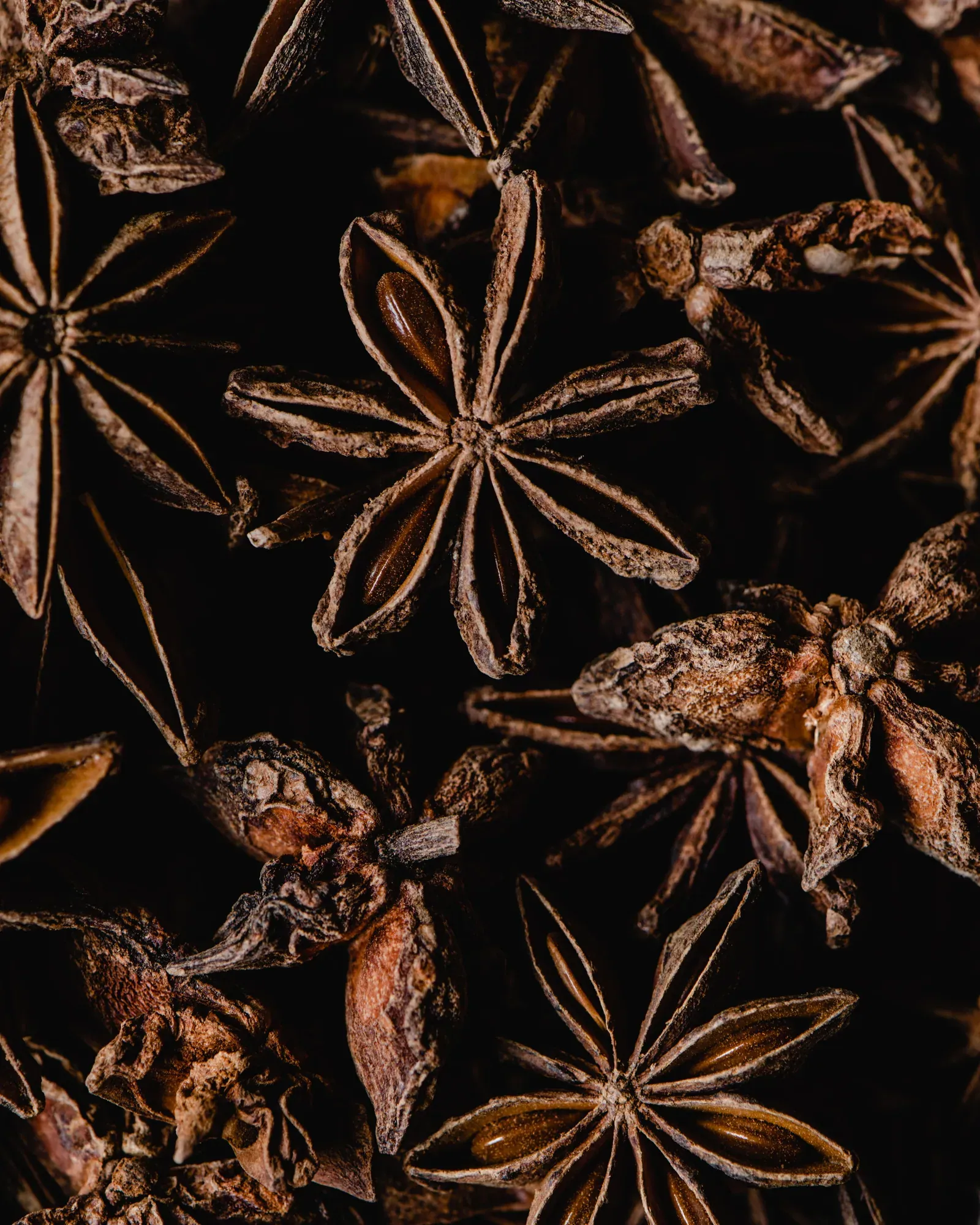 Star anise on a dark surface, close up