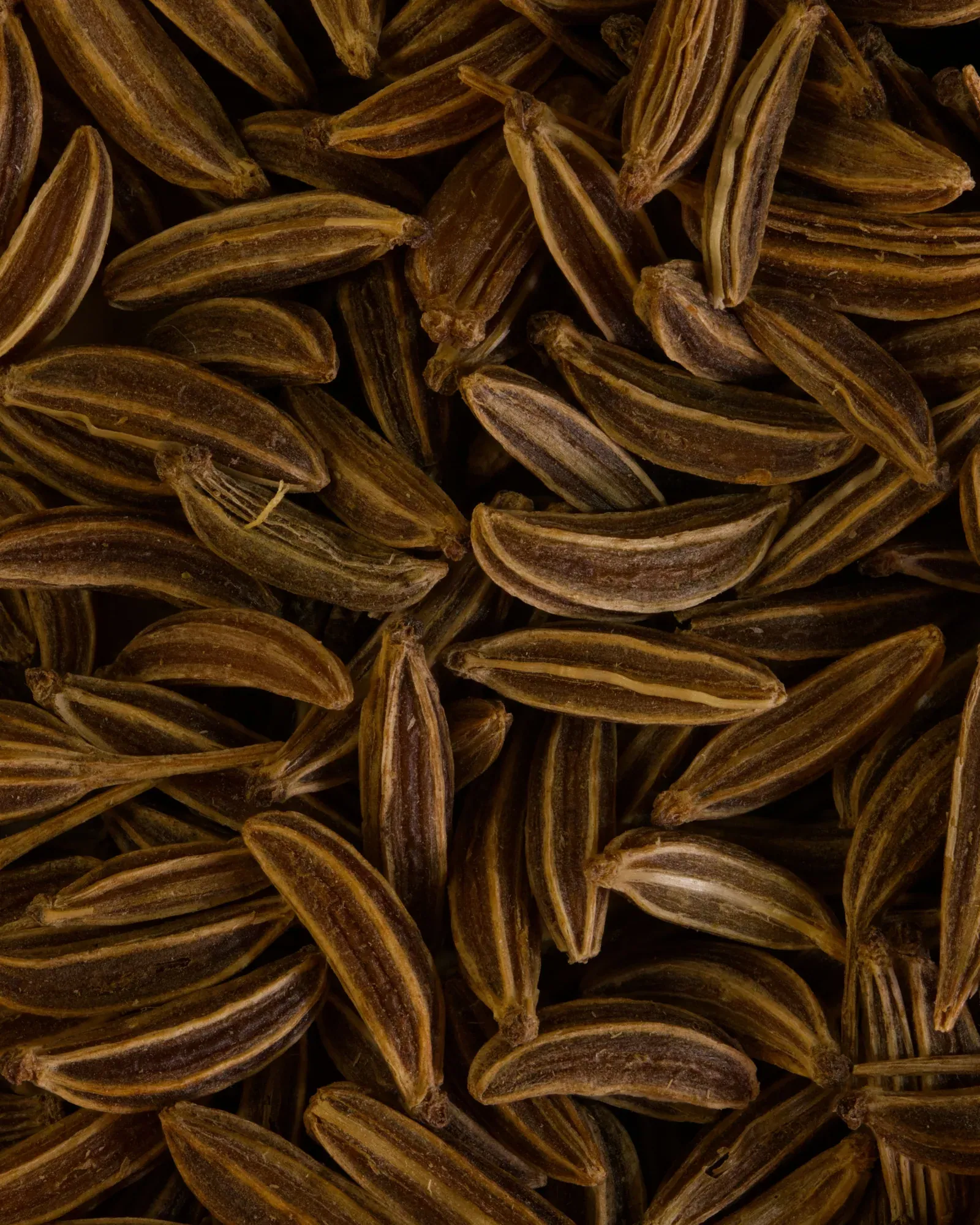 A heap of whole dried seeds, close up